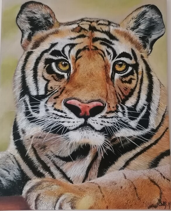 绘画,  19.7x15.8 in 