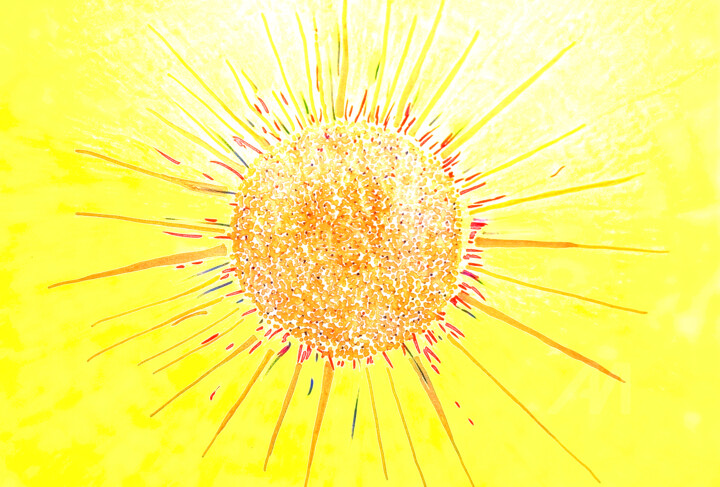 Sonne 绘画, 10.2x15.8 in