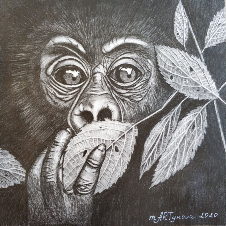 Monkey 图画, 7.9x7.9 in
