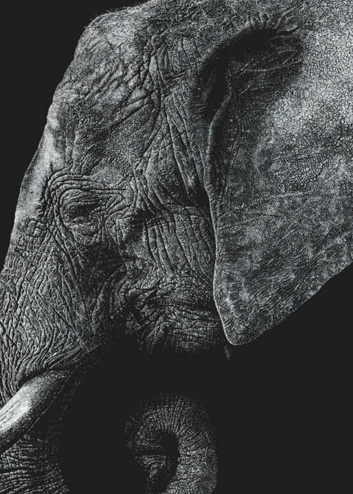 Elephant#03 de la série Dots Eléphants #01 Disegno, 27,6x19,7 in