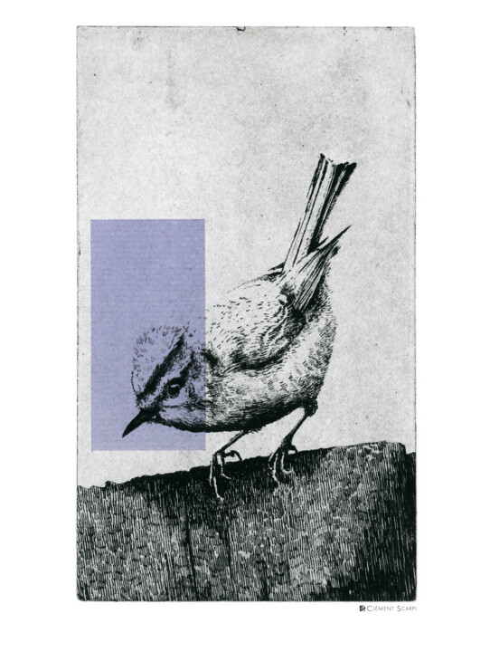 Gravures & estampes intitulée "The Firecrest - Gra…" par Clement Scarpi, Œuvre d'art originale, Gravure