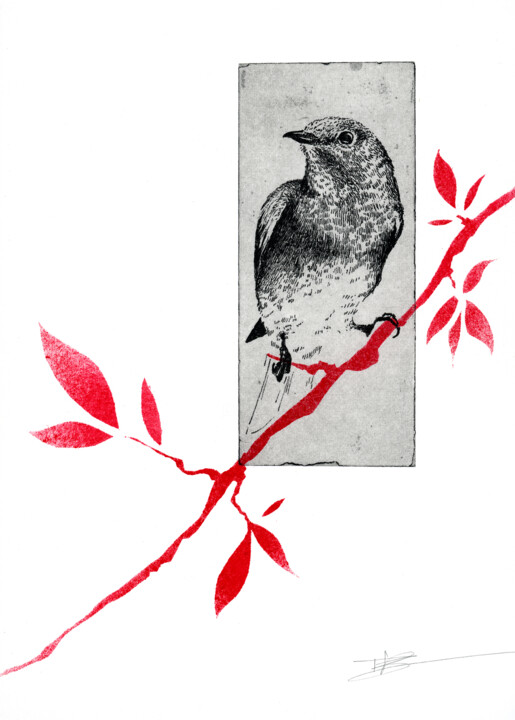 Gravures & estampes intitulée "Eastern bluebird" par Clement Scarpi, Œuvre d'art originale, Gravure