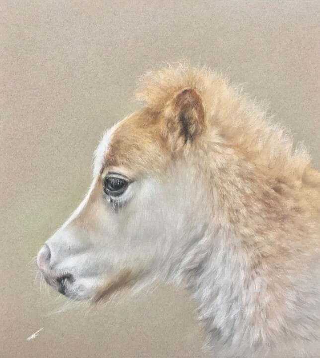 Pony 图画, 12.6x11.8 in