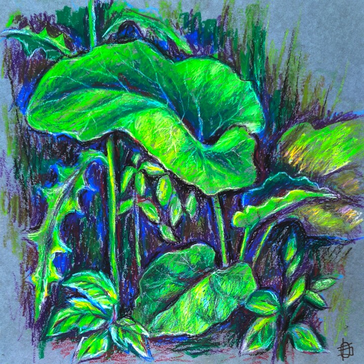 Burdock 图画, 11x11 in