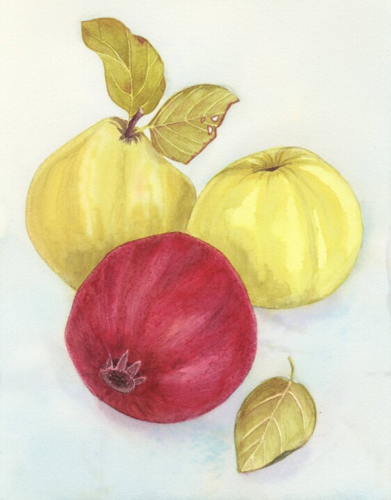 Quince and pomegranate 绘画, 11.4x8.3 in