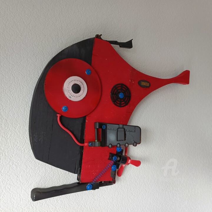 Tracer fish Sculptuur, 12,6x14,6 in