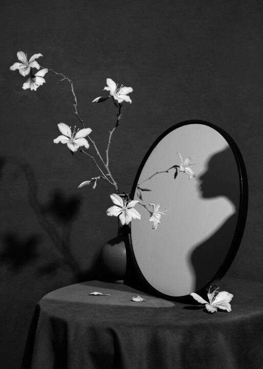 The Shadow Self 摄影, 27.6x19.7 in