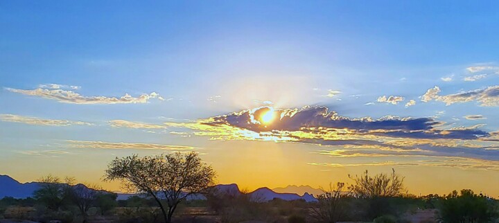 Morning Desert Glow 摄影