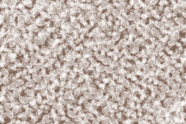 Beneath the Cocoa Sky - Print 数字艺术, 23.6x35.4 in