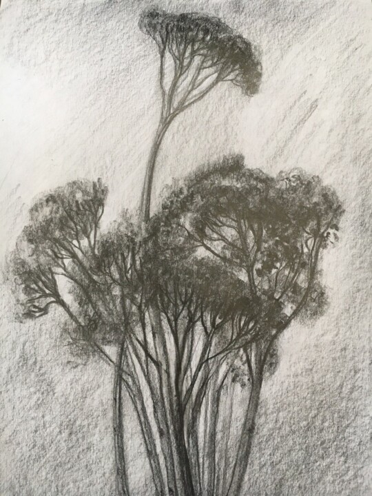 Herbes Tekening, 11x7,5 in