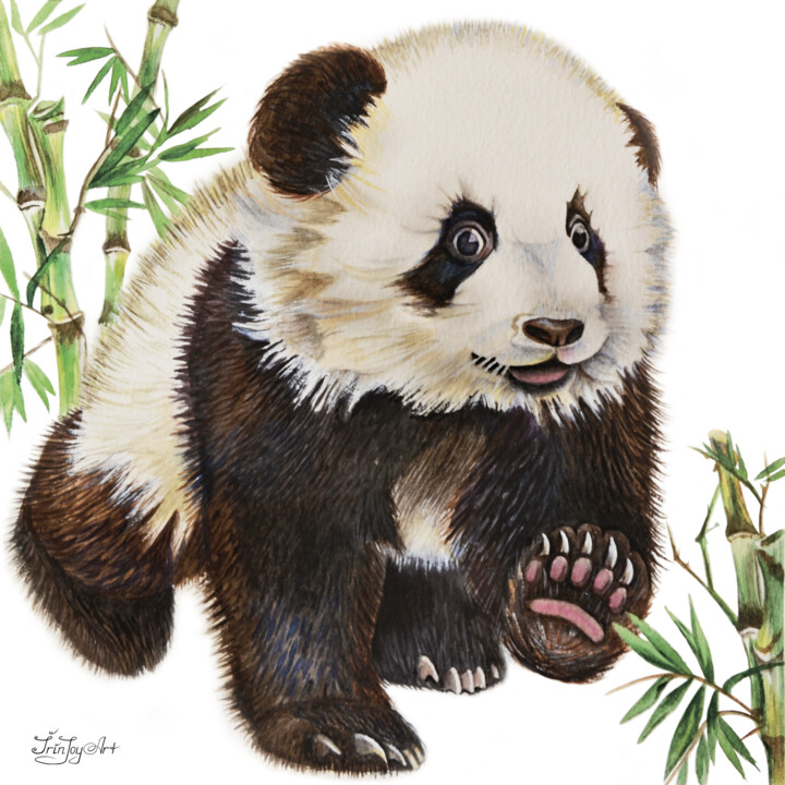 Panda poster Cute panda bear animal bamboo wall art Animal 绘画, 10x10 in