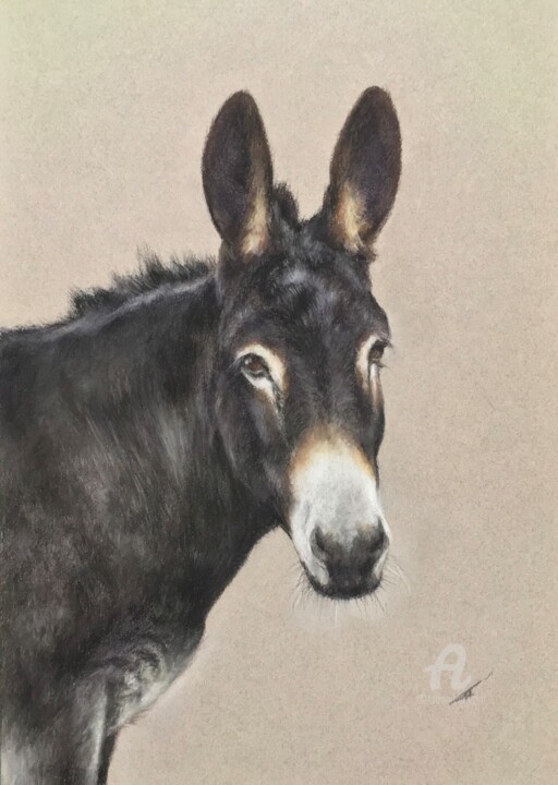 Donkey Desenho, 13x8,9 in