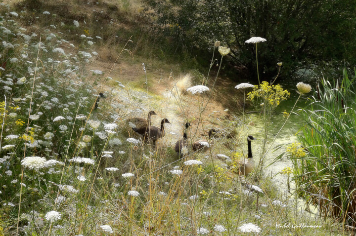 A la campagne ... 摄影, 15.8x23.6 in