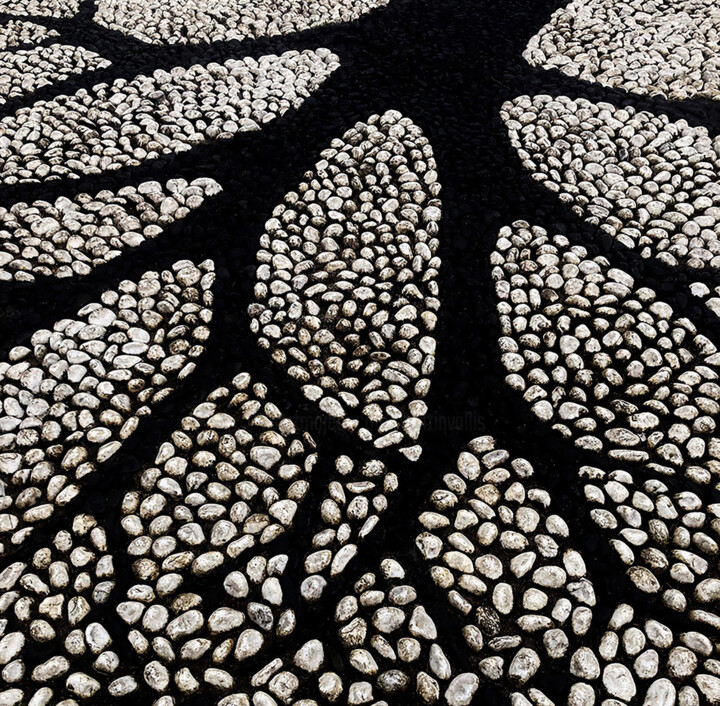 Photography titled "Virus" by Martin Vallis, Original Artwork, Digital Photography