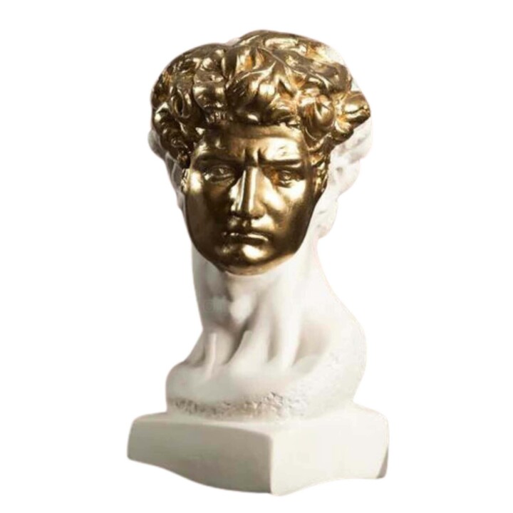 Golden glory the David with mask Sculptuur, 13,4x5,9 in