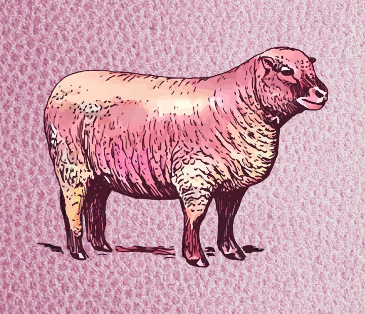 Vintage Sheep 数字艺术