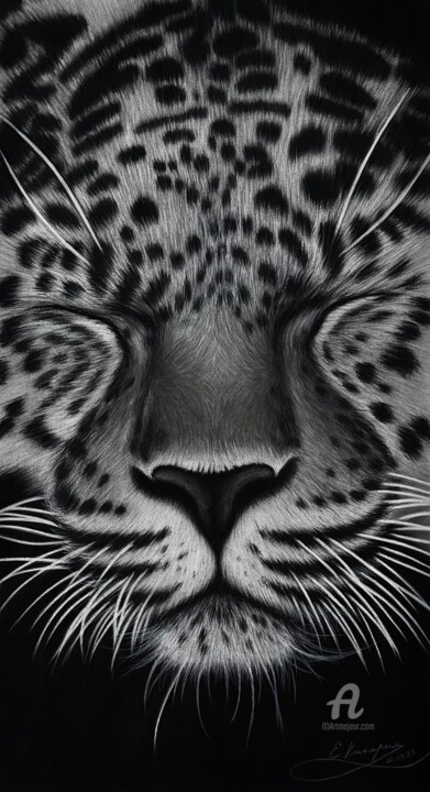 The enjoyment of silence. 图画, 29.1x17.3 in