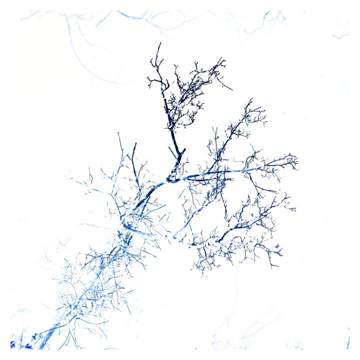 negative XXXII 摄影