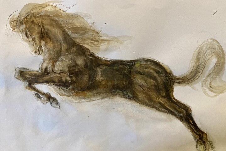 Etude cheval Disegno, 11,4x16,5 in