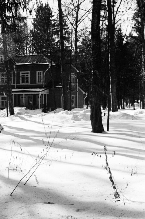 "A green house deep…" başlıklı Fotoğraf Ekaterina Kastalskaya tarafından, Orijinal sanat, Analog Fotoğrafçılık