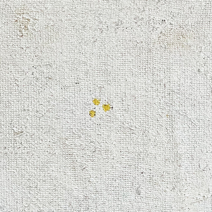 Details