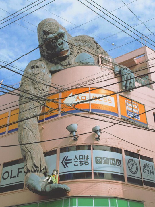 Photography titled "Kong" by Laurent Roch, Original Artwork, Digital Photography