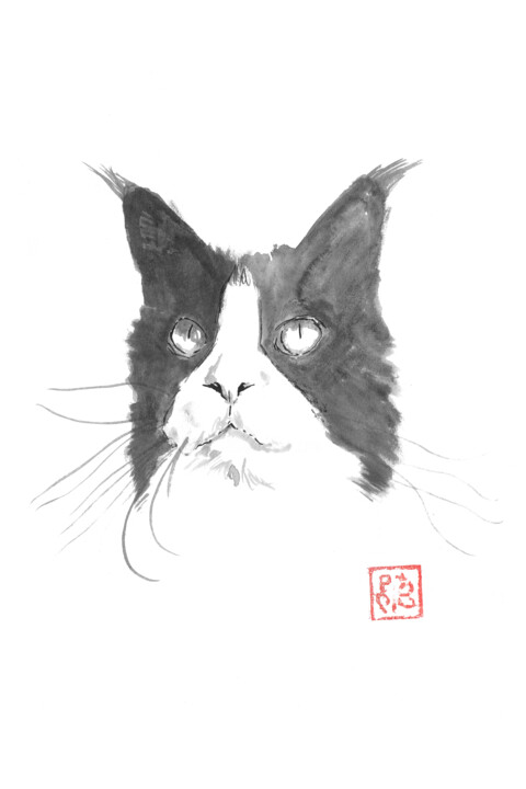 grey cat and white Tekening, 15,8x11,8 in
