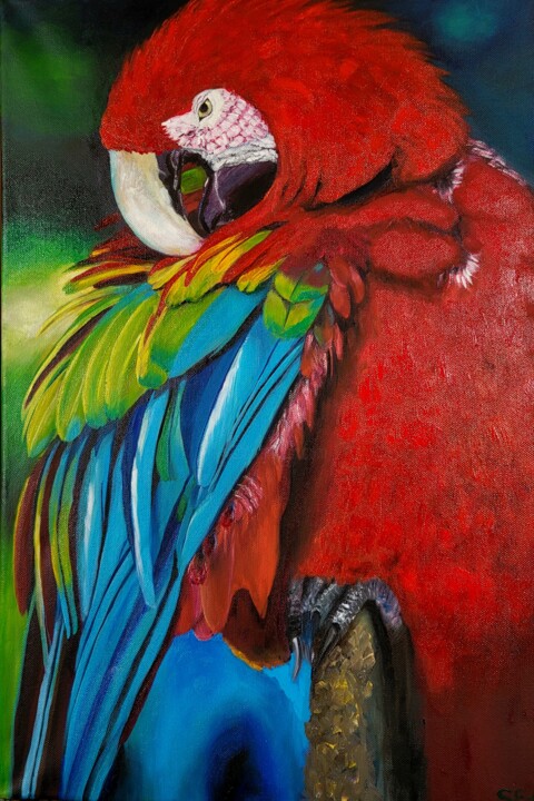 Malerei mit dem Titel "Exotic Ara Parrot" von Sylvia Eder, Original-Kunstwerk, Öl