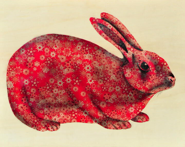 Drawing titled "Coniglio rosso" by Marzia Roversi, Original Artwork, Graphite