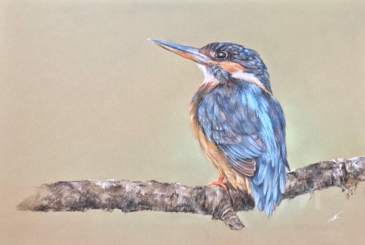 Bird portrait 图画, 10.2x15 in