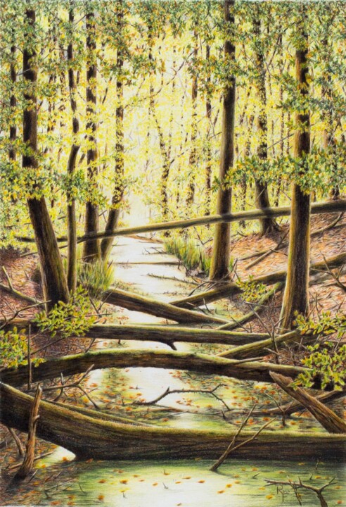 Zeichnungen mit dem Titel "Der alte Kanal (#2)" von Ronald Firla, Original-Kunstwerk, Conté-Buntstifte
