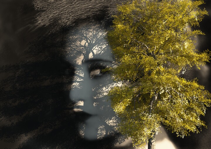 Haunted by Fractals Digital Arts