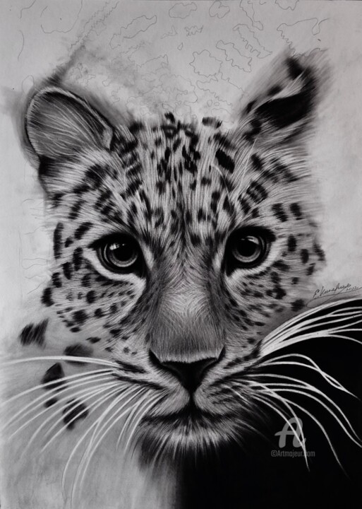 Drawing titled "The whole world is…" by Evgenia Kiperiya, Original Artwork, Charcoal