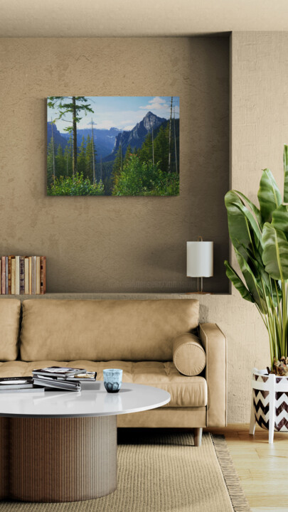 Artwork in situation
