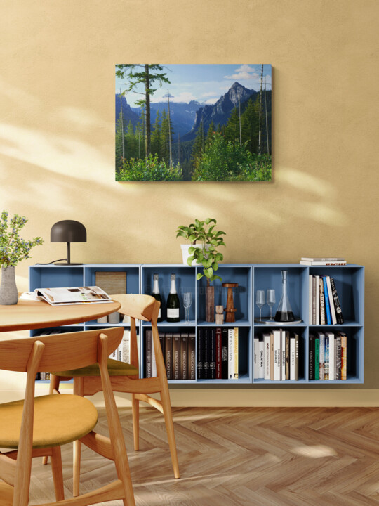 Artwork in situation