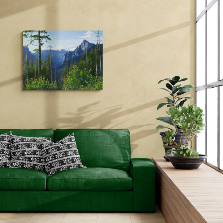 Artwork in situation
