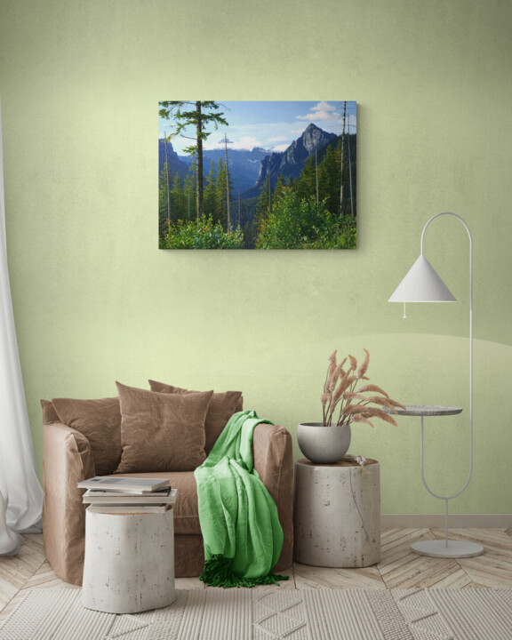 Artwork in situation