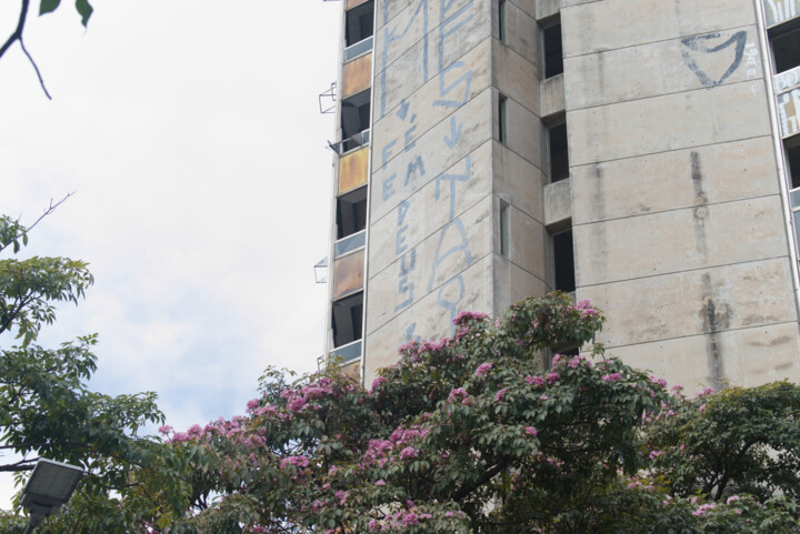 Building 137 摄影