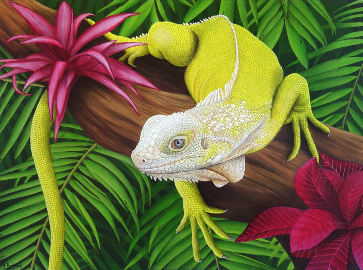 绘画,  11.8x15.8 in 