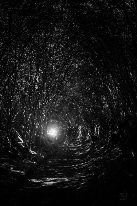 Abducted C Fotoğraf, 16,5x11 in