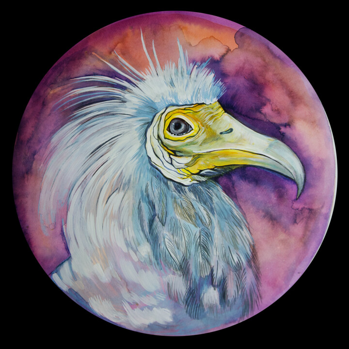 bird portrait :3 Painting, 13.8x13.8 in