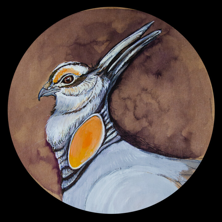 bird portrait:7 绘画, 9.8x9.8 in