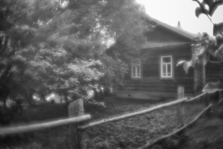 Summer about nothing 3 Фотография