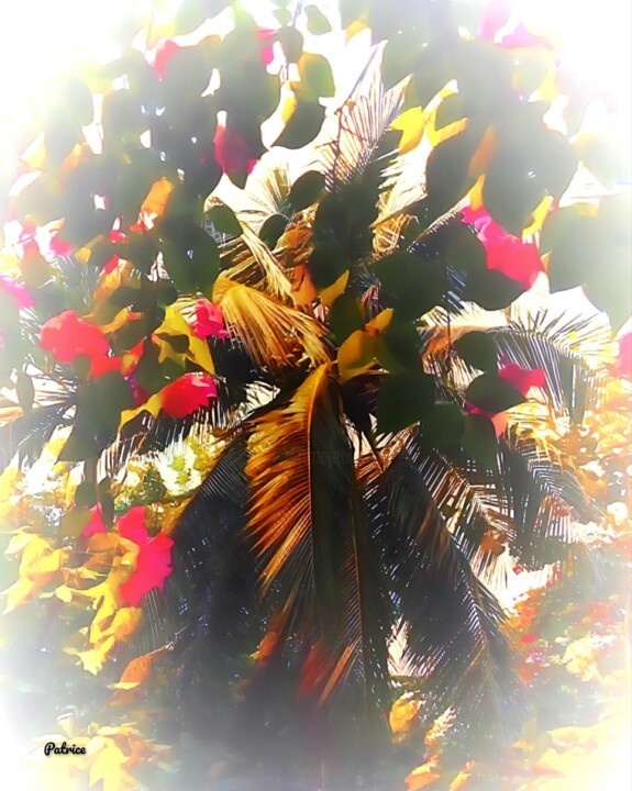 Love of the Palm 数字艺术
