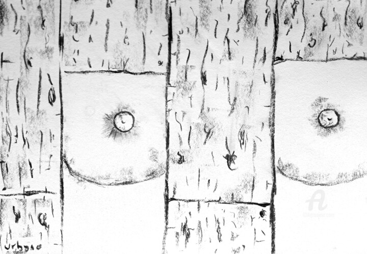 Country Lodge 5 图画, 11.8x16.1 in