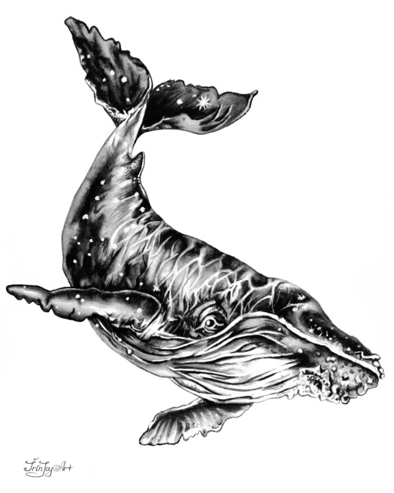 Whale shark canvas wall art print Black white home decor 绘画, 10x8 in