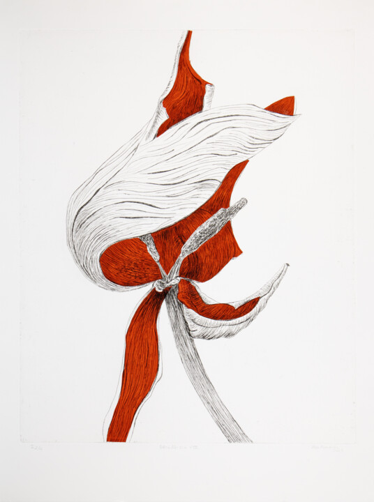 Decay 8, Tulip 印花与版画, 23.6x17.7 in