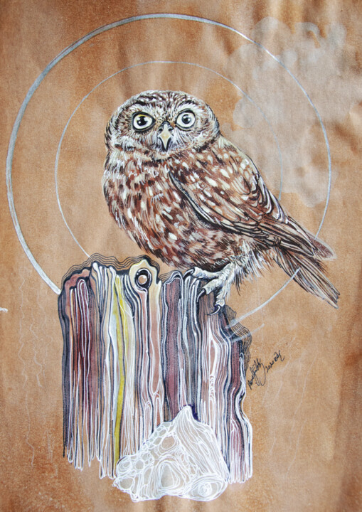 brown owl 绘画, 15.8x11.8 in