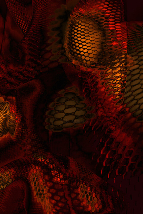 Net'n Skin Entanglement 数字艺术