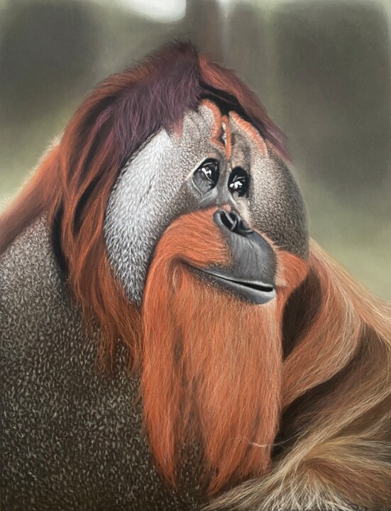 Drawing titled "L’Orang-outan" by Jess.C.Art, Original Artwork, Pastel Mounted on Glass